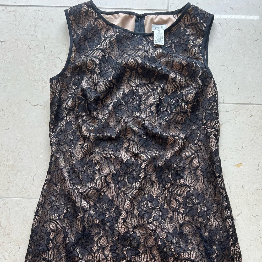 caché black lace dress